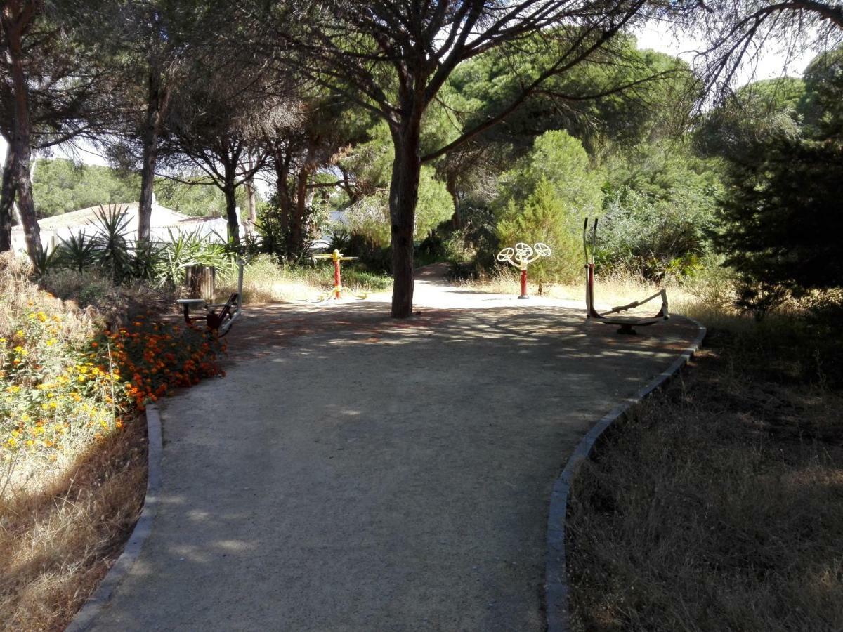 Apartamento En Los Patios De Santa Maria Golf Marbella Exteriör bild